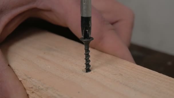 Nahaufnahme eines professionellen Bauarbeiters, der mit einem Schraubenzieher eine Schraube in einen Holzbalken einschlägt. — Stockvideo