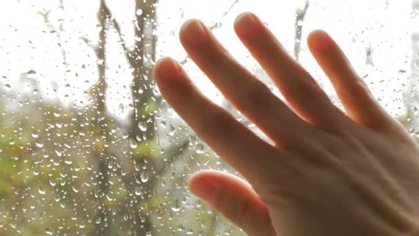 Una joven mujer de pie frente a la ventana agita la mano después de que su amado novio. — Vídeos de Stock