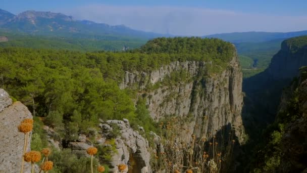 Sheer cliffs of the canyon among the green forest.A view of the beautiful majestic mountains. A view of the Canyon with large mountains and a river. A view of the wild forest and mountain range. — Stock Video