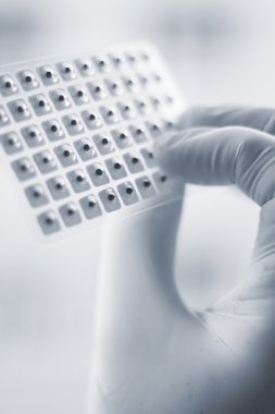 Auriculartherapy acupunture kulak tohumları