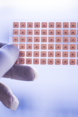 Auriculartherapy acupunture kulak tohumları