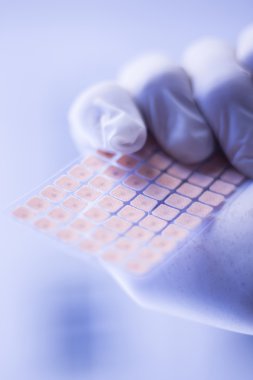 Auriculartherapy acupunture kulak tohumları