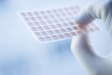 Auriculartherapy acupunture kulak tohumları