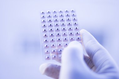 Auriculartherapy acupunture kulak tohumları