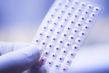 Auriculartherapy acupunture kulak tohumları