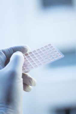 Auriculartherapy acupunture kulak tohumları