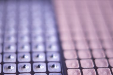 Auriculartherapy acupunture kulak tohumları