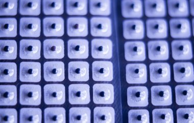 Auriculartherapy acupunture kulak tohumları