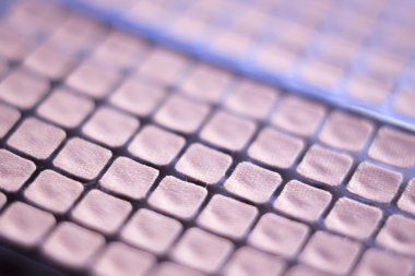 Auriculartherapy acupunture kulak tohumları