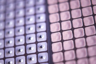 Auriculartherapy acupunture kulak tohumları