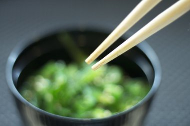Japon deniz yosunu suşi como wakame