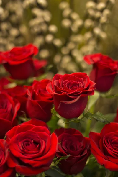 Bando de rosas vermelhas buquê de flores — Fotografia de Stock