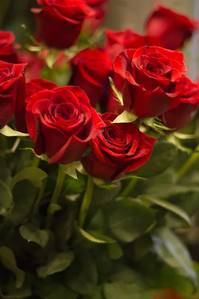 Μάτσο λουλούδια μπουκέτο με κόκκινα τριαντάφυλλα — Φωτογραφία Αρχείου