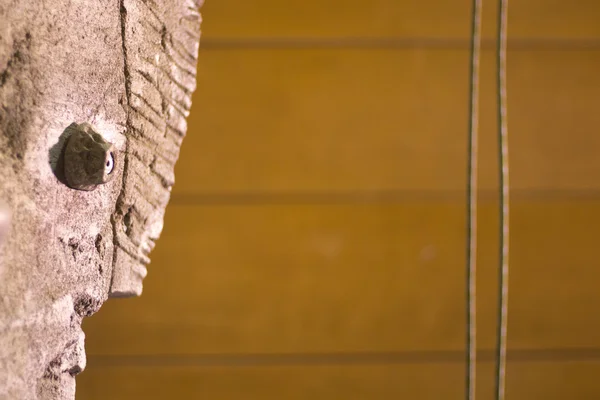 Corde da parete per arrampicata interna — Foto Stock