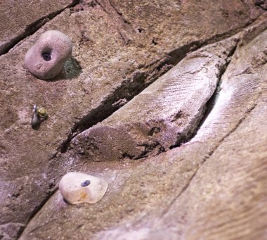 Kapalı tırmanma duvarı rock tutar