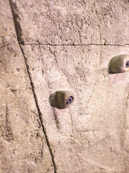 Indoor climbing wall rock holds