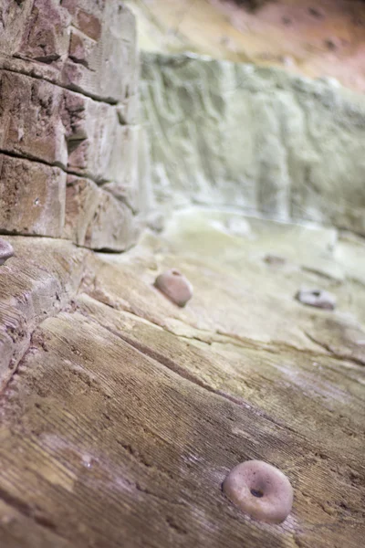 Indoor climbing wall rock holds — Stock Photo, Image