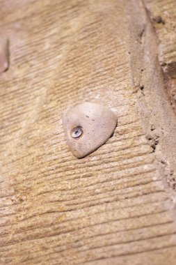 Kapalı tırmanma duvarı rock tutun