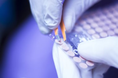 Auriculartherapy kulak tohum tedavi