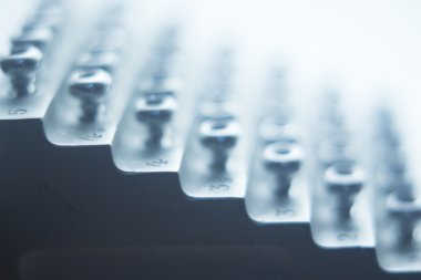 Ortopedik cerrahi vida implantları için