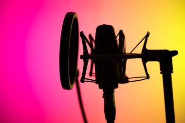 Profesyonel ses kayıt stüdyolarındaki büyük diyafram kardiyaframlı mikrofon..