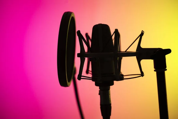 Spraakstudio Groot Middenrif Cardioïde Microfoon Professionele Voice Recording Studio — Stockfoto