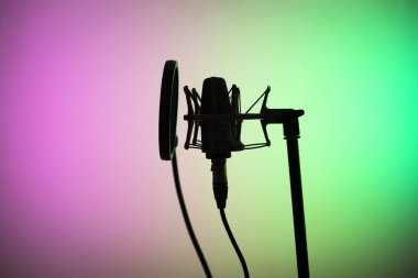 Profesyonel ses kayıt stüdyolarındaki büyük diyafram kardiyaframlı mikrofon..