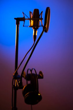 Profesyonel ses kayıt stüdyolarındaki büyük diyafram kardiyaframlı mikrofon..