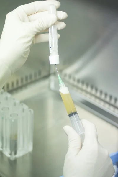 Laboratory technician prepares human growth factors — Stock Photo, Image