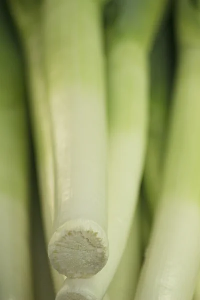 Leek vegetables in supermarket grocers — Stock Photo, Image