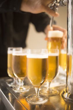 Lager draft beer glasses pump in restaurant bar clipart