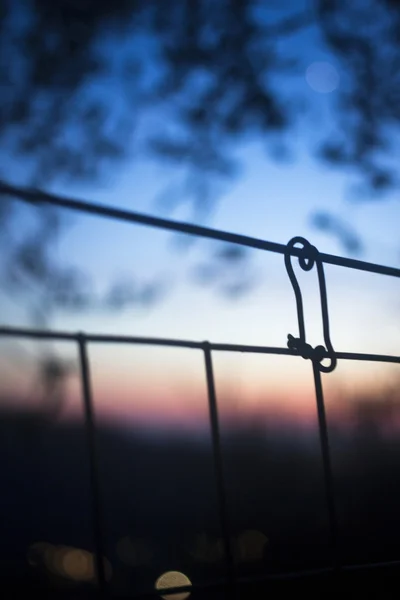 夕暮れ時のフェンスと植物のシルエット — ストック写真