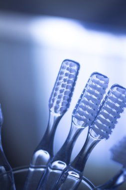 Diş fırçası diş hijyeni plak kontrolü