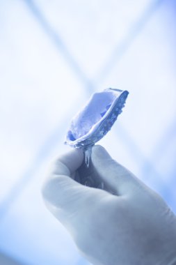 Diş kalıp diş hekimleri kil diş dökme sakız plaka jel