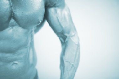 Erkek vücut geliştirmeci kaslı adam 
