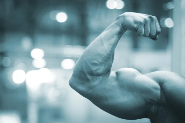 Male bodybuilder muscular man — Stock Photo, Image