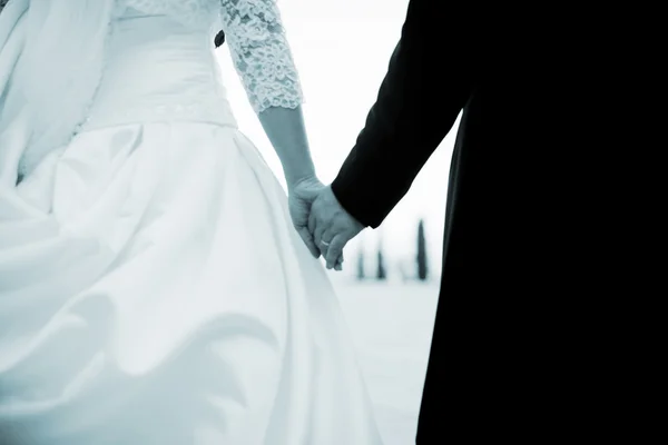 Wedding bride and groom in marriage — Stock Photo, Image