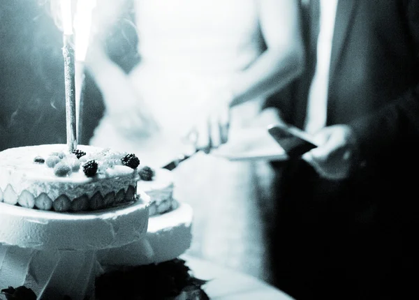 Bröllop mottagning äktenskap skära tårta — Stockfoto
