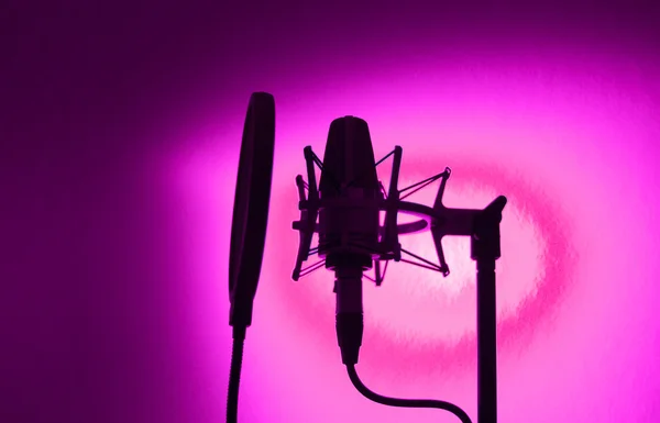 Audio recording vocal studio voice microphone — Stock Photo, Image