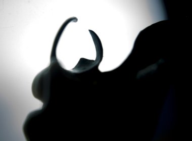 Protez diş Kısmi Protez