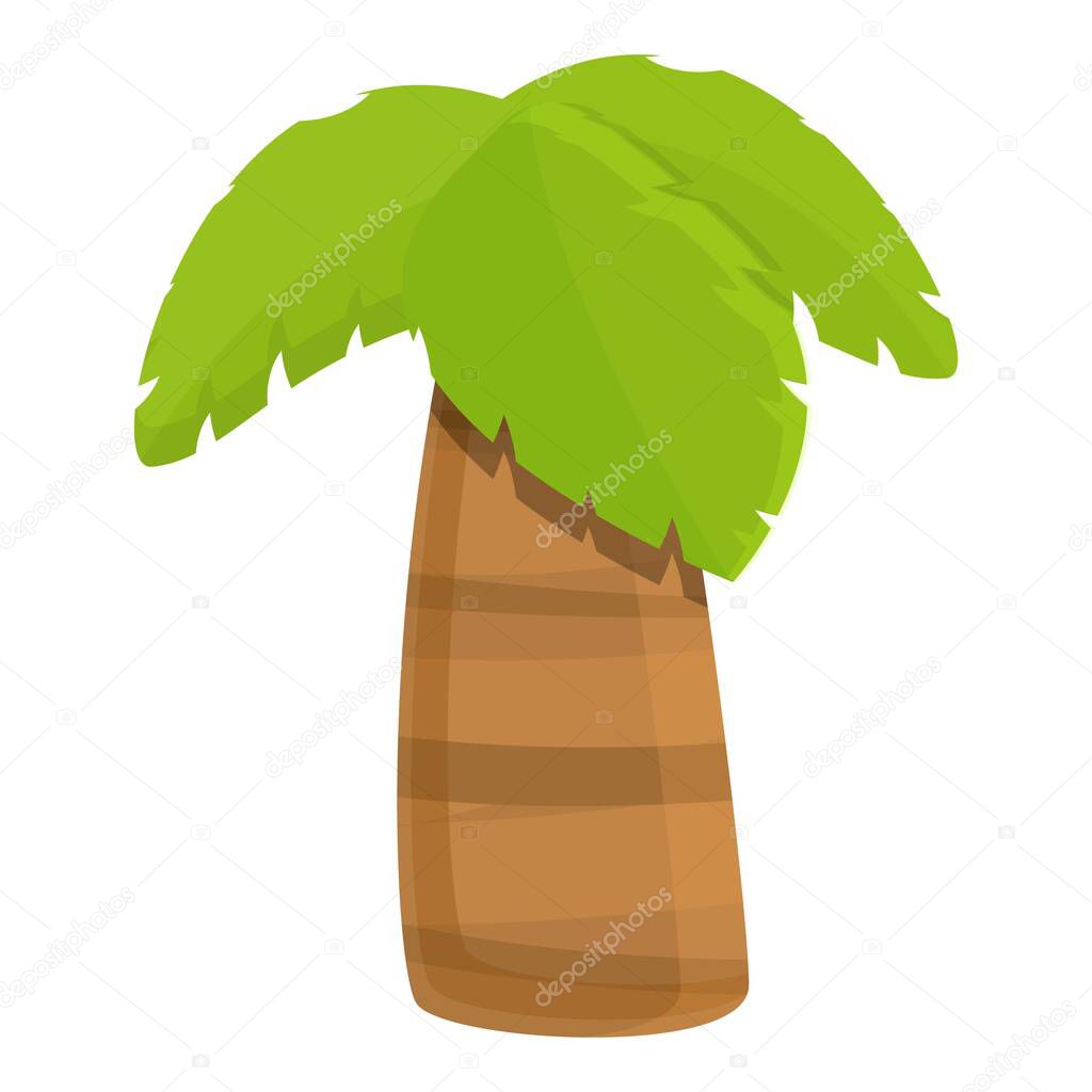 Thick palm tree icon, cartoon style