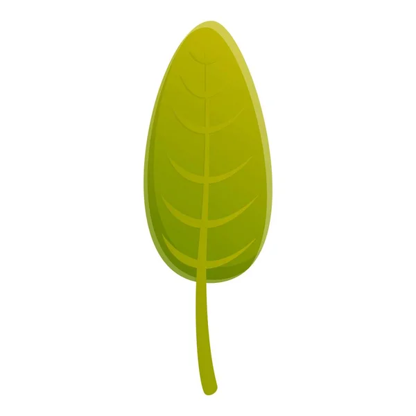Icône feuille verte orme, style dessin animé — Image vectorielle