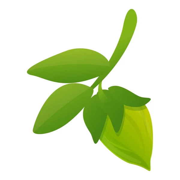 Bio πράσινο εικονίδιο jojoba, στυλ κινουμένων σχεδίων — Διανυσματικό Αρχείο