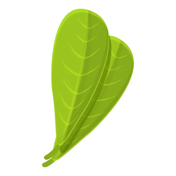 Shea tree leaf icon, cartoon style — Stock Vector
