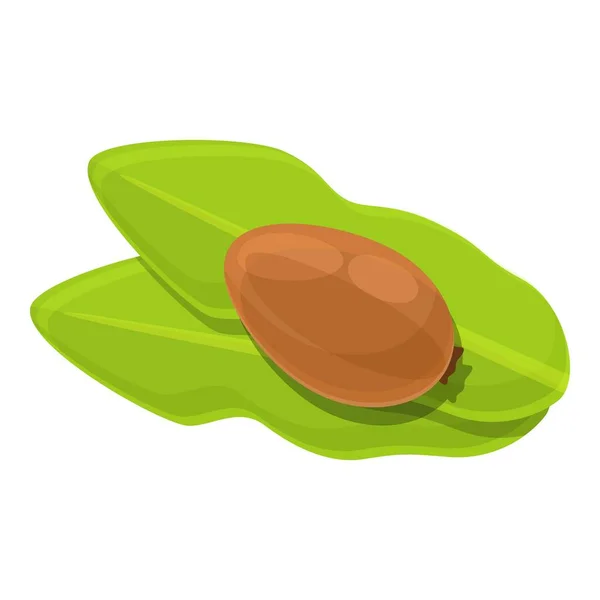 На листьях дерева ши зеленый орех значок, в стиле мультфильма — стоковый вектор
