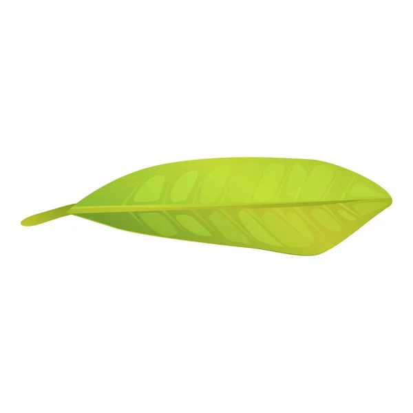 Plumeria leaf icon, cartoon style — Stock Vector