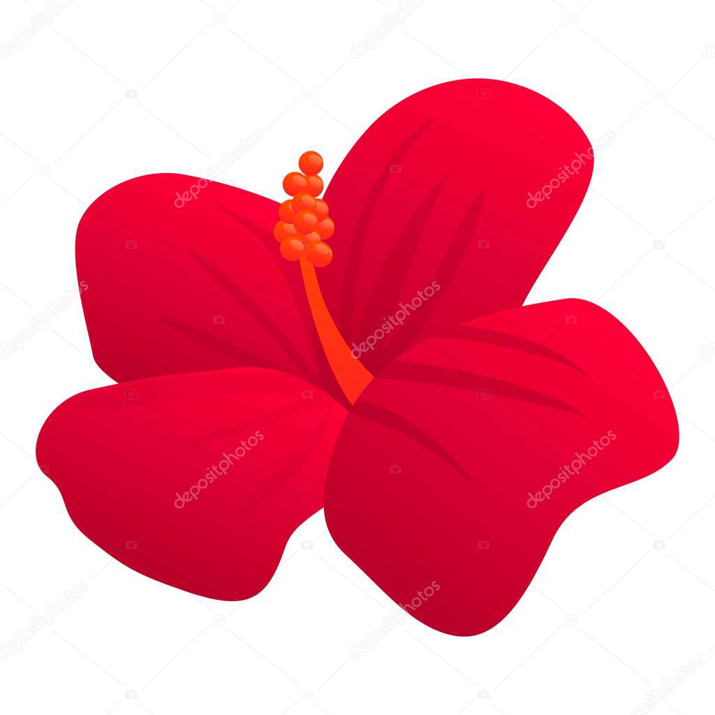 Aroma hibiscus icon, cartoon style