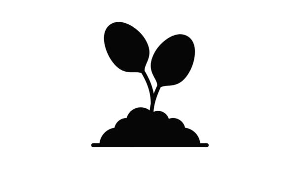 Animación icono de planta de espinacas — Vídeo de stock