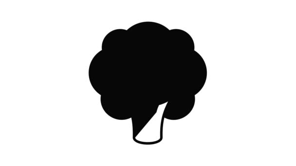 生态花椰菜图标动画 — 图库视频影像