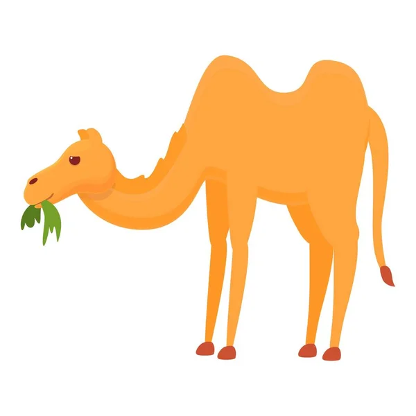 Comer hierba icono de camello, estilo de dibujos animados — Archivo Imágenes Vectoriales